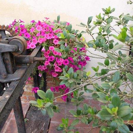 La Vecchia Cartiera Hotel Colle di Val d'Elsa Eksteriør billede