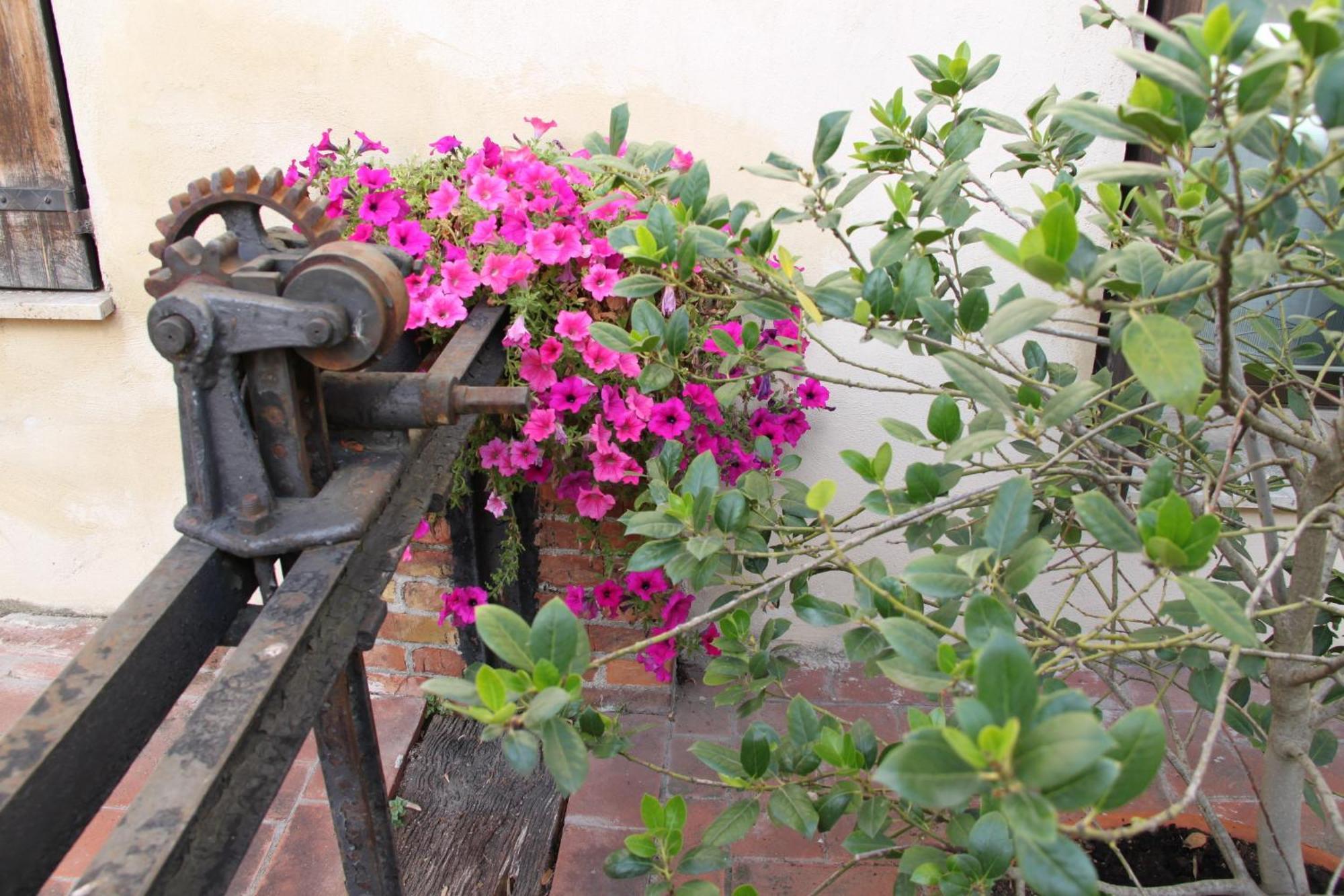 La Vecchia Cartiera Hotel Colle di Val d'Elsa Eksteriør billede